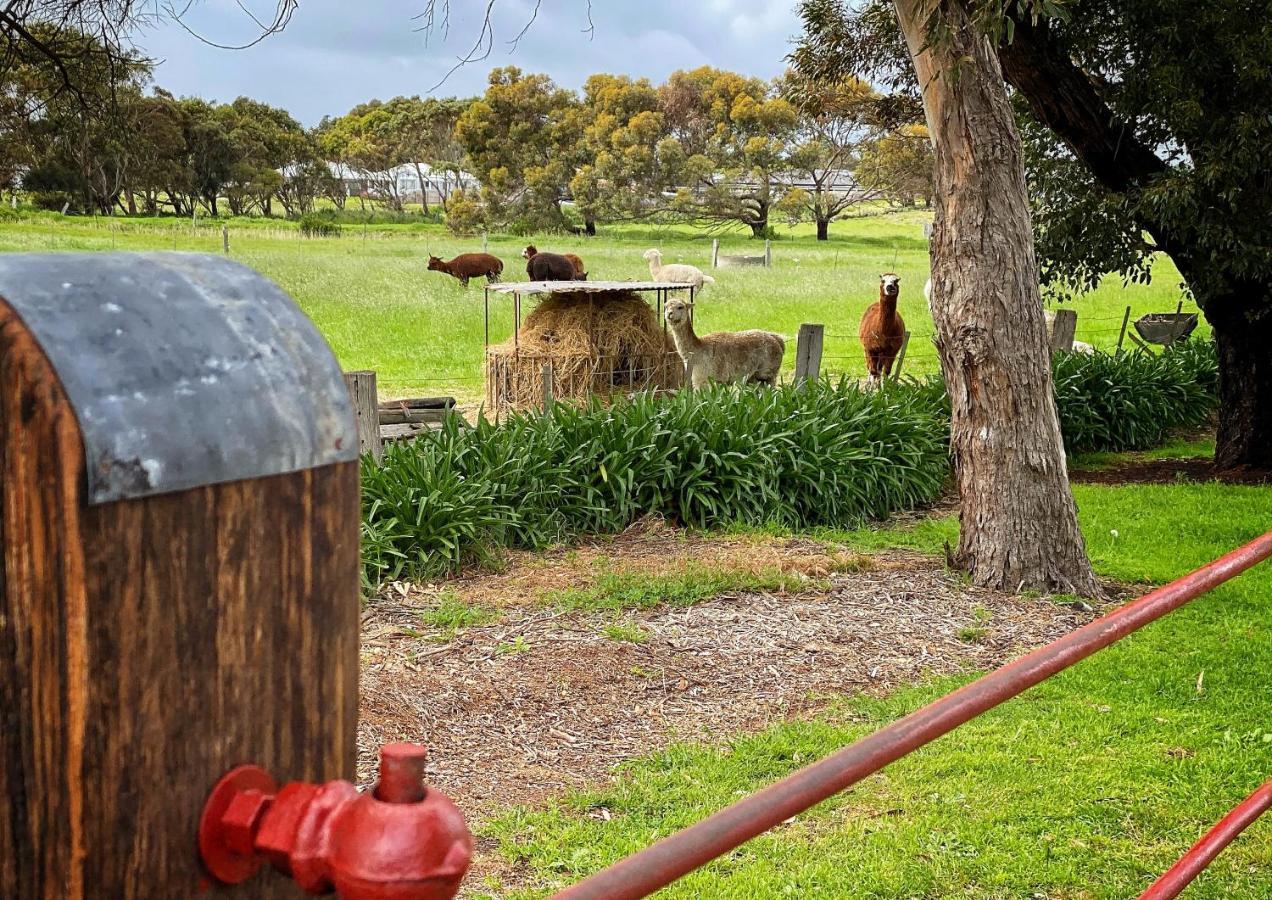 Cherry Plum Cottages Port Fairy Exterior foto